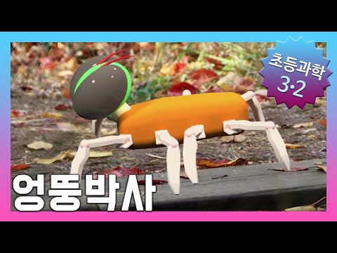 우리 생활에서 동물의 특징을 어떻게 활용할까요? | 초등3학년2학기 과학, 실험 |