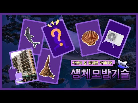 [교육]자연이 준 위대한 아이디어 생체모방기술 동물편