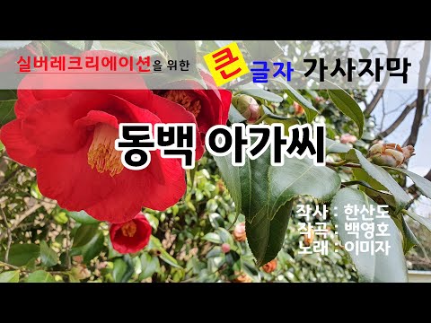동백아가씨(이미자) 노인대학용 큰글자 가사자막 노래배우기
