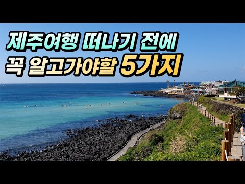 제주여행에서 이거는 하지 마세요! 여행객들이 가장 많이 실수하는 5가지