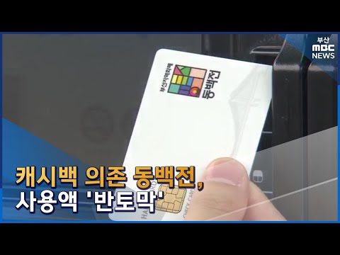 캐시백 의존 동백전, 사용액 '반토막' (2023-03-27,월/뉴스데스크/부산MBC)