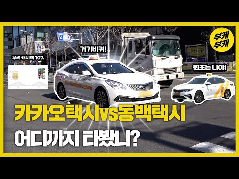 부산에서 요즘 핫한 '동백 택시' 직접 타봄! 카카오택시와 비교 분석까지!