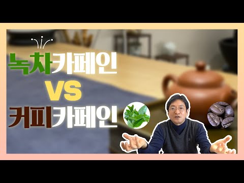 녹차와 커피 카페인은 차이점! 한의사가 쉽게 알려드립니다 :)