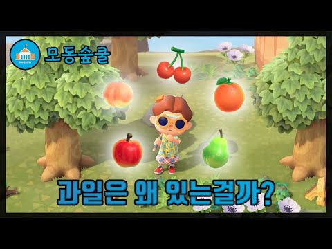과일은 도대체 어디다 쓰는걸까? 과일의 사용 방법과 획득 방법 알아보기! [모동숲쿨]