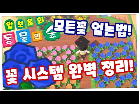 모동숲]