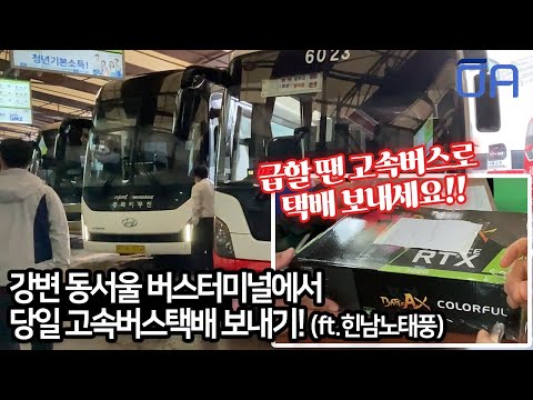 동서울터미널 고속버스화물택배 당일배송으로 급한물건보내기(Ft.힌남노 태풍)