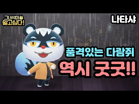 [모동숲] 품격있는 다람쥐, 역시 굿굿!! - 나타샤