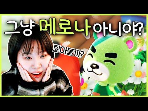 가장 핥고 싶은 주민 1위! 🍈메로나 곰돌이 머피 모음집.zip [지컨 모동숲]