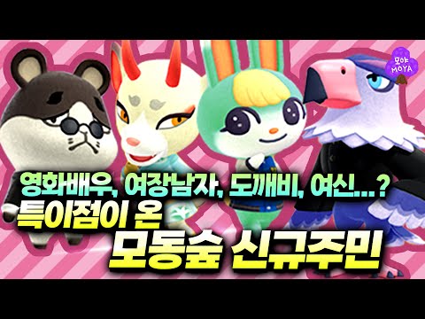 모동숲 신규 아미보 주민 집착 분석!!! 뭔가 특이하다..업데이트 주민들 파헤치기 스피드 버전