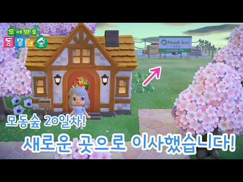 [칸나촌장] 모동숲 이사갑니다~ 마음에 드는 곳으로 집 위치 바꾸는 법!