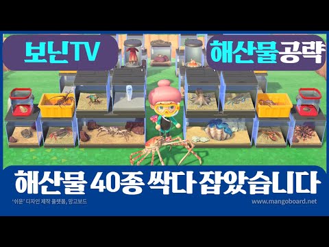 동물의숲 7월 여름 업데이트 해산물 40종 도감완성 공략 보닌