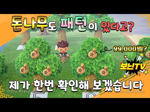 모여봐요 동물의숲 돈나무에도 패턴이 있다는 소문 진짜일까? 모여봐요 동물의숲 돈나무에도 패턴이 있다는 소문 진짜일까?