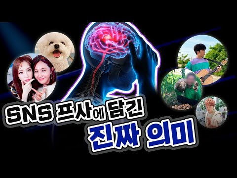 카톡, 페메, 프사 유형별 심리 분석 (공감주의)