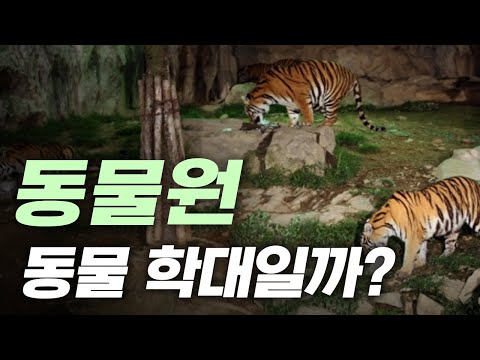 동물원도 동물 학대일까? 동물원도 동물 학대일까?