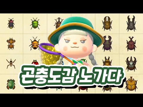 동숲 곤충 다 잡기 도전합니다! (개 잘함)