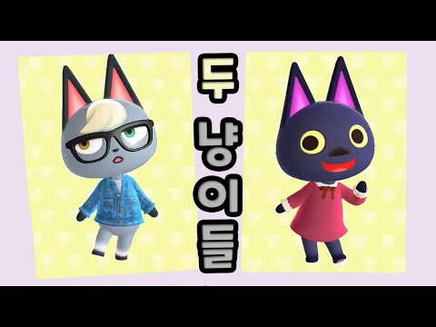 우리 섬엔 두 마리의 냥이가 있어요🐈