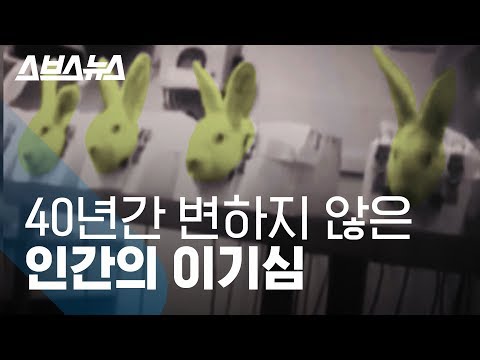 동물도 행복할 권리가 있다, 세계 동물권 선언 40년 / 스브스뉴스