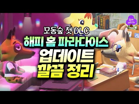 역시 닌텐도의 DLC는 옳다... 모동숲 해피홈 파라다이스 업데이트 스피드 정리!