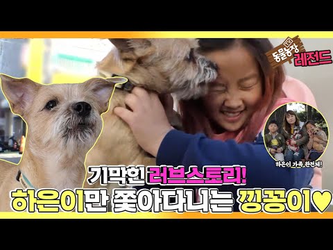 [TV 동물농장 레전드] ’도망치는 하은이 VS 만져달라는 견공 낑깡이’ 풀버전 다시보기 I TV동물농장 (Animal Farm) | SBS Story