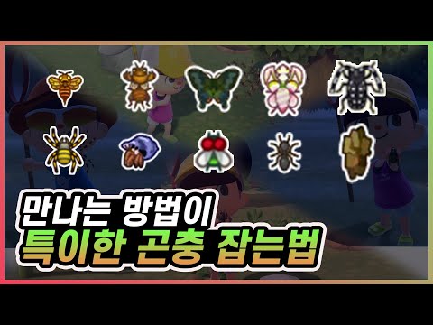 [모여봐요 동물의 숲] 특이한 조건의 곤충 잡는 방법! 제비나비, 도롱이벌레부터 파리, 거미까지!