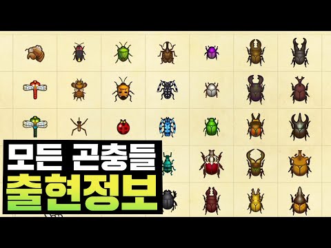 【모동숲】🦋곤충도감 『출현정보 총 정리』