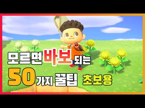 모여봐요 동물의 숲 공략_모르면 손해보는 50가지 꿀팁 모음(초보용)