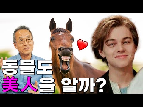 동물도 미인을 알아볼까? 동물들이 좋아하는 사람의 유형은?! / 최재천의 아마존, 전지적 관찰자 시점