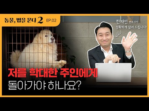 [동물, 법을 묻다 2]  피학대동물 소유권 문제 / 동물자유연대