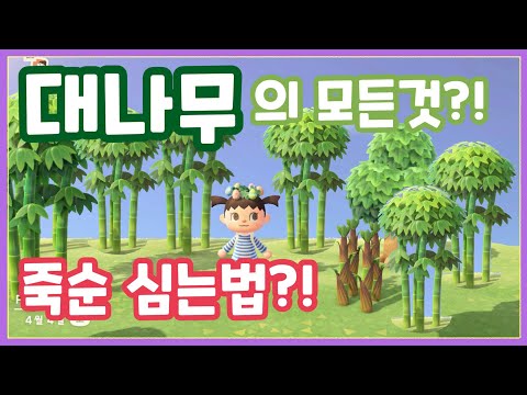 [모동숲] 대나무 얻는법! 죽숙심는법 및 대나무 DIY !!🎮🎮
