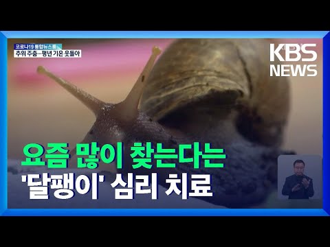 달팽이, ‘동물 매개 치료’에 큰 인기 / KBS  2021.11.29.