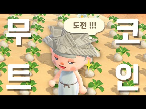 전재산 800만 벨 무트코인 도전합니다 (절대 실패 안 해~)