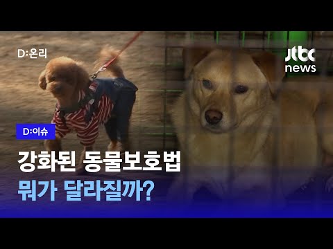 내일부터 강화된 동물보호법 시행…견주 책임 등 강화｜D:이슈