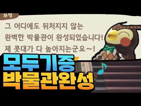 【모동숲】곤충,화석,물고기 전부 기증한 박물관 | 박물관 탐방