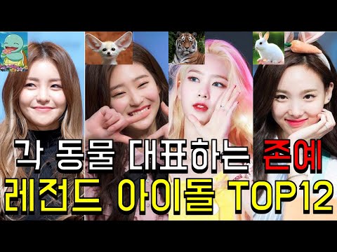 ⚡동물상 존예 걸그룹 멤버TOP12⚡ 고양이상,강아지상중 제일 예쁜 아이돌 멤버는?? ㅣ#지호#예지#나연#쯔위#수지#유정 다나온다