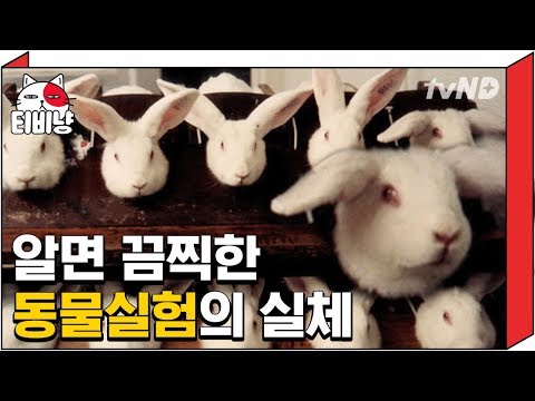 [티비냥] 욕실에 있는 화장품 다 버릴까? 동물 실험 없는 브랜드 알아야 하는 이유! | 프리한19 181120 #05