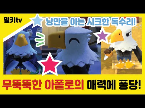 [모동숲] 낭만을 아는 차도남 독수리 아폴로 매력탐구!/닌텐도 스위치 모여봐요 동물의 숲