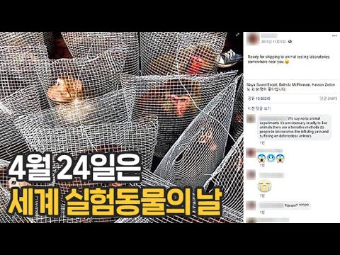 [애피소드] 오늘은 실험동물의 날…3R을 아시나요?  / KBS뉴스(News)