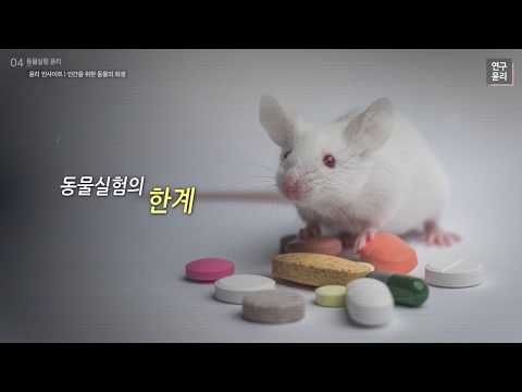 동물실험 윤리 - 실험동물 도구인가, 생명인가? (2019)