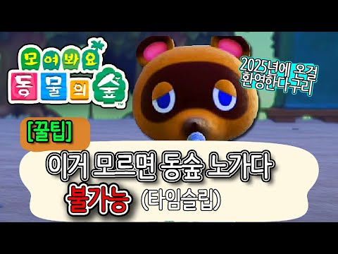 [모동숲 꿀팁/공략] 모여봐요 동물의 숲 노가다에 필수!! 꿀팁기술 '타임슬립' - 최준스