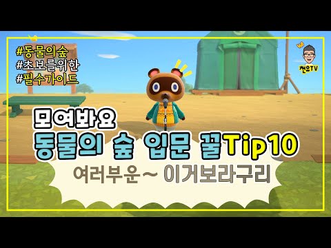 모여봐요 동물의 숲 시작전 무조건 봐야하는 핵꿀팁 10가지