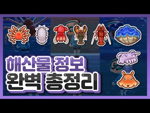[모동숲] 해산물 사이즈 정보 ⭐완벽 총정리⭐ (feat. 7월 해산물)│모여봐요 동물의숲
