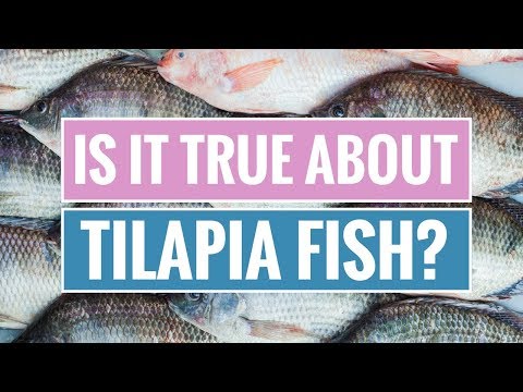 Tilapia Fish: Benefits and Dangers