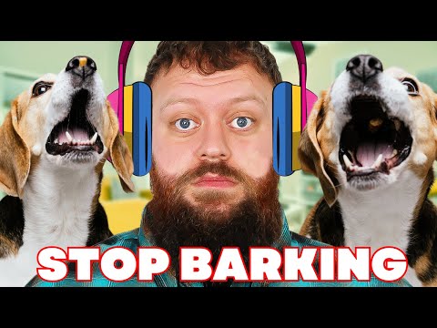 How To STOP Your Dog From Barking  - Complete Guide