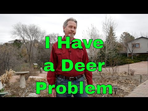 How to Deer Proof Your Garden