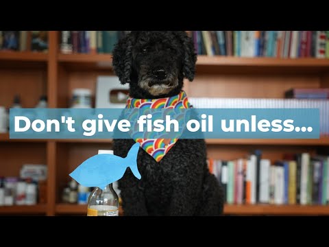 Don't give your Pets Fish Oil UNLESS you are doing these 5 Things
