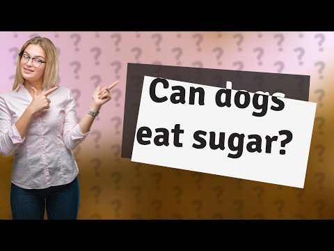 Can dogs eat sugar?