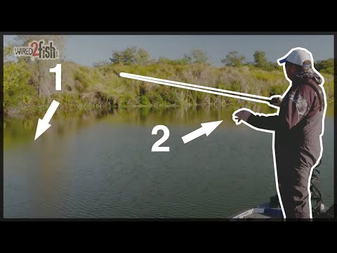 The 2 MOST IMPORTANT Considerations in COLD FRONT Bass Fishing The 2 MOST IMPORTANT Considerations in COLD FRONT Bass Fishing