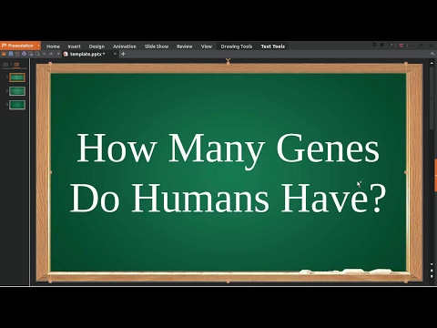 How Many Genes Do Humans Have
