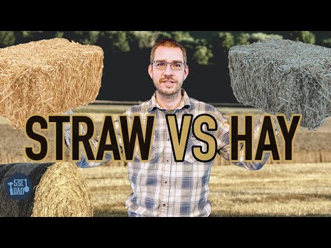 The Difference Between Hay and Straw