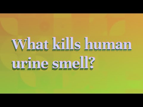 What kills human urine smell?